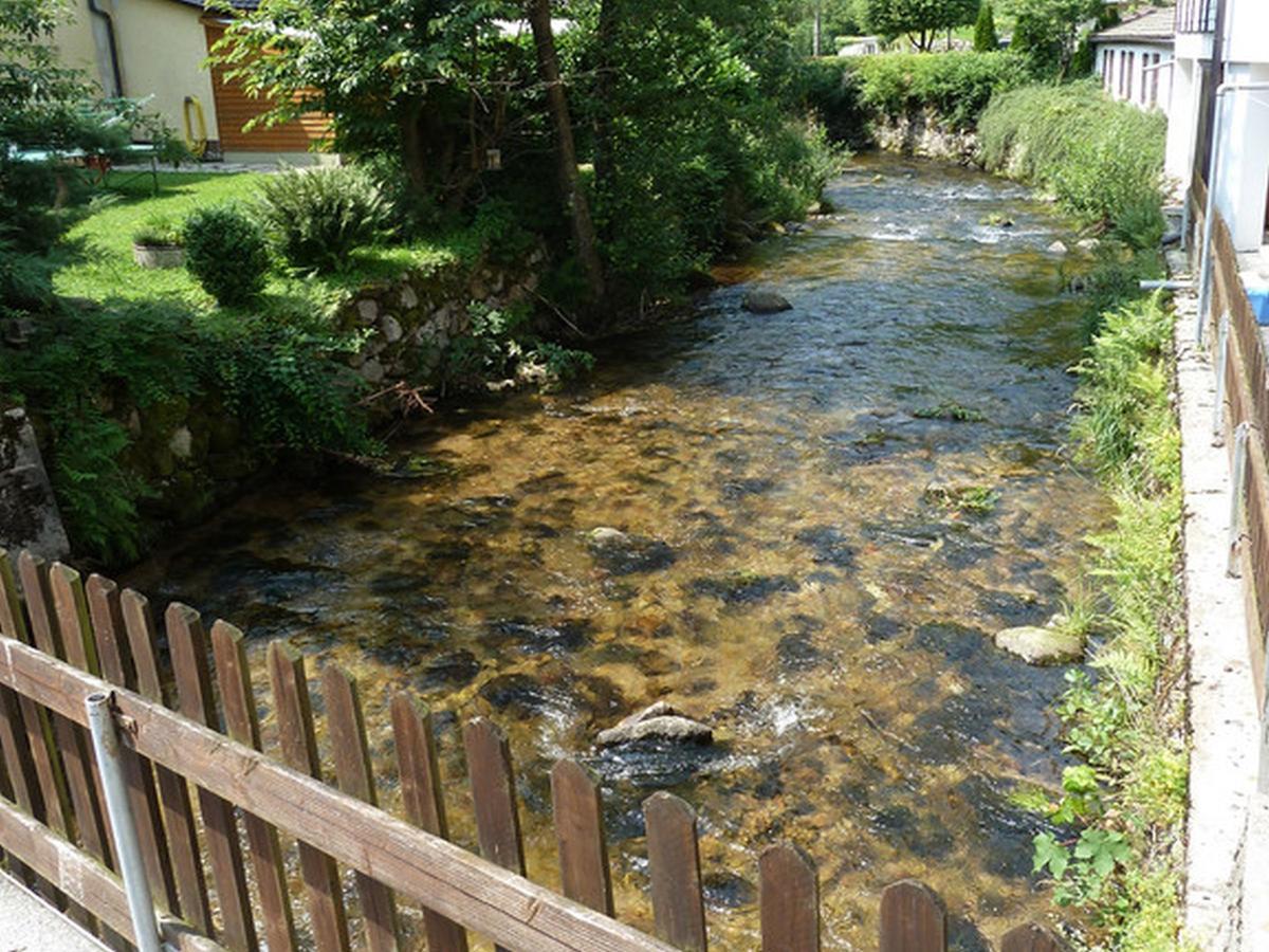 Landgasthof-Hotel-Rössle Oberprechtal Eksteriør bilde